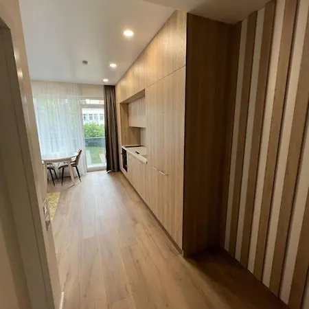 New Studio In A New House