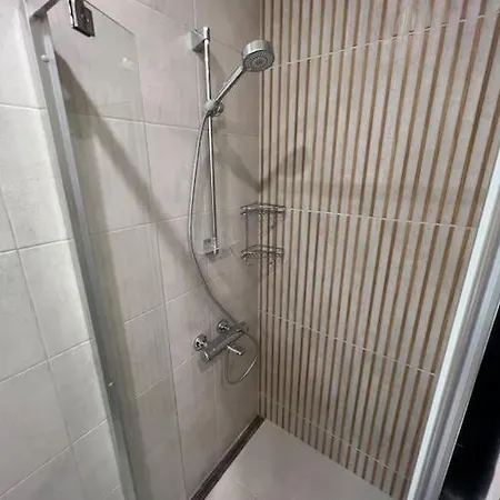 New Studio In A New House Butas *